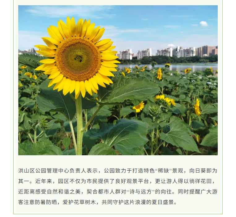 福布斯