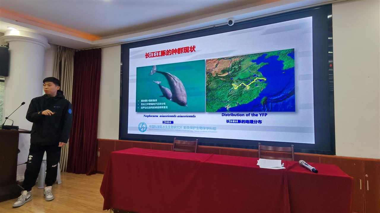 图片7.png 福布斯