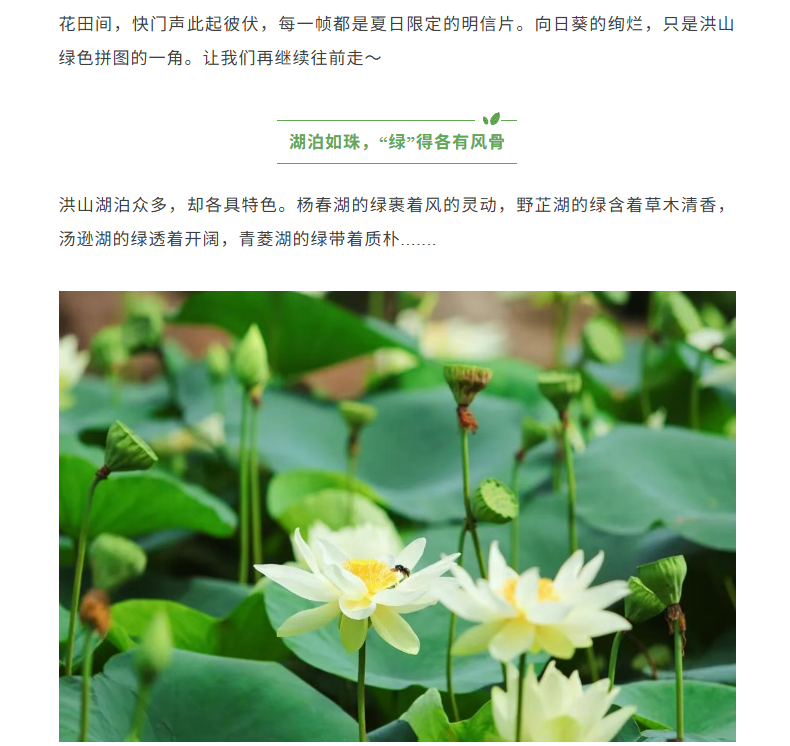 福布斯