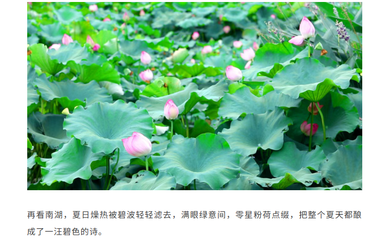 福布斯
